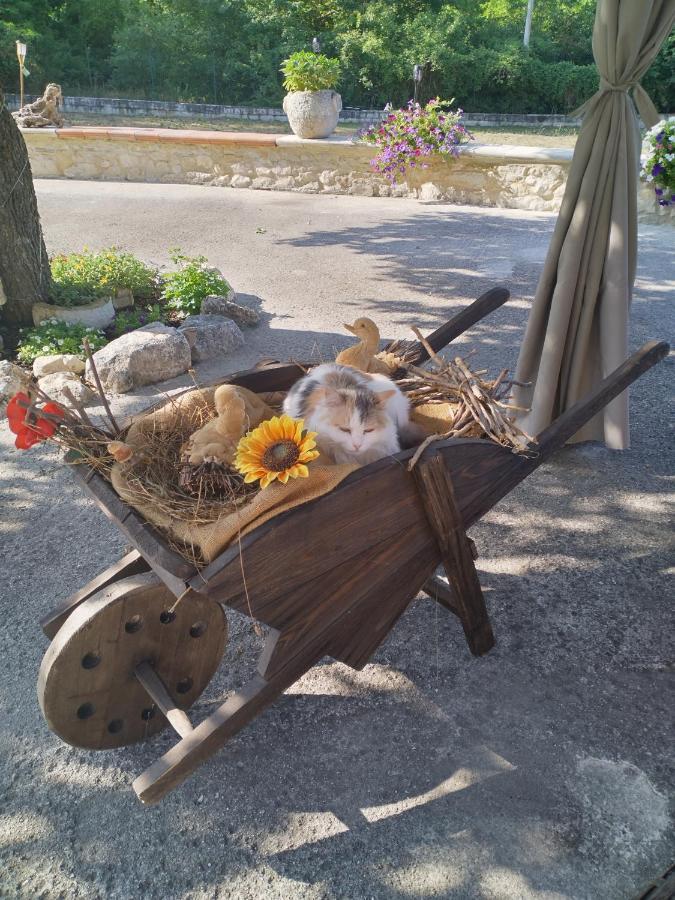 "Il Miglio" Country House Pettorano sul Gizio Bagian luar foto