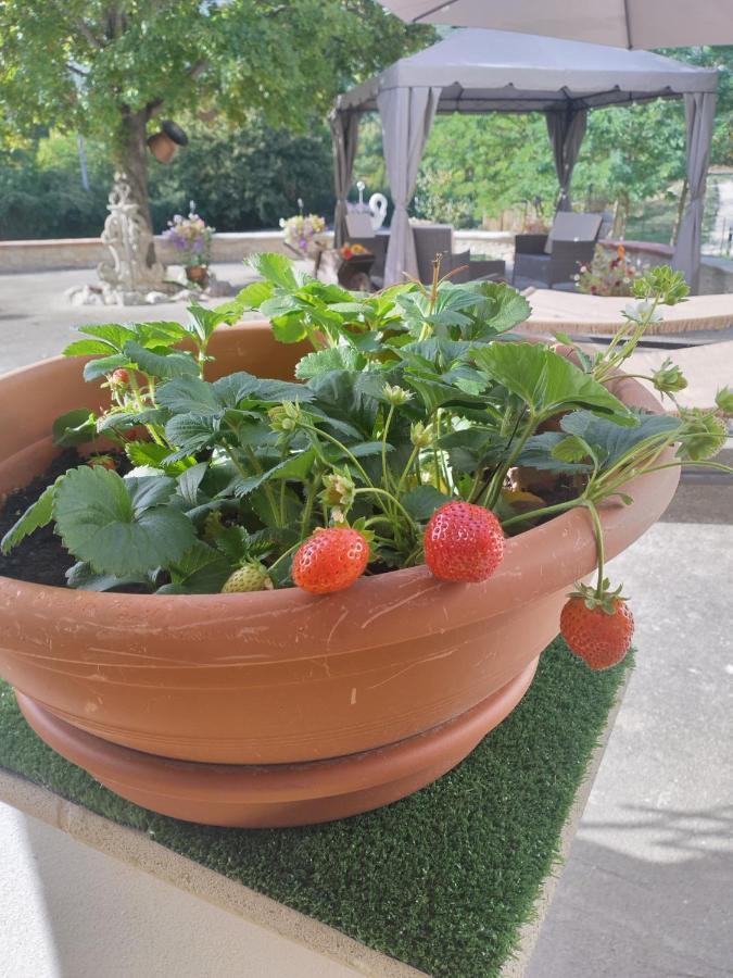 "Il Miglio" Country House Pettorano sul Gizio Bagian luar foto